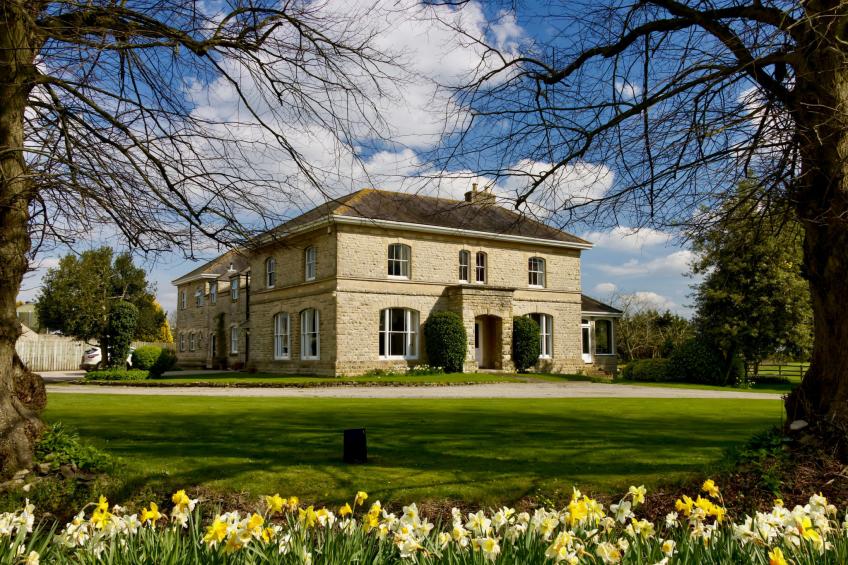 Walltree House - foto 34