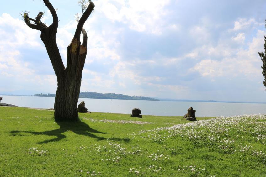 Renovierte Wohnung - foto 24