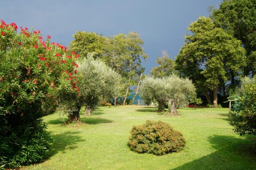 mit Wasserblick - foto 8