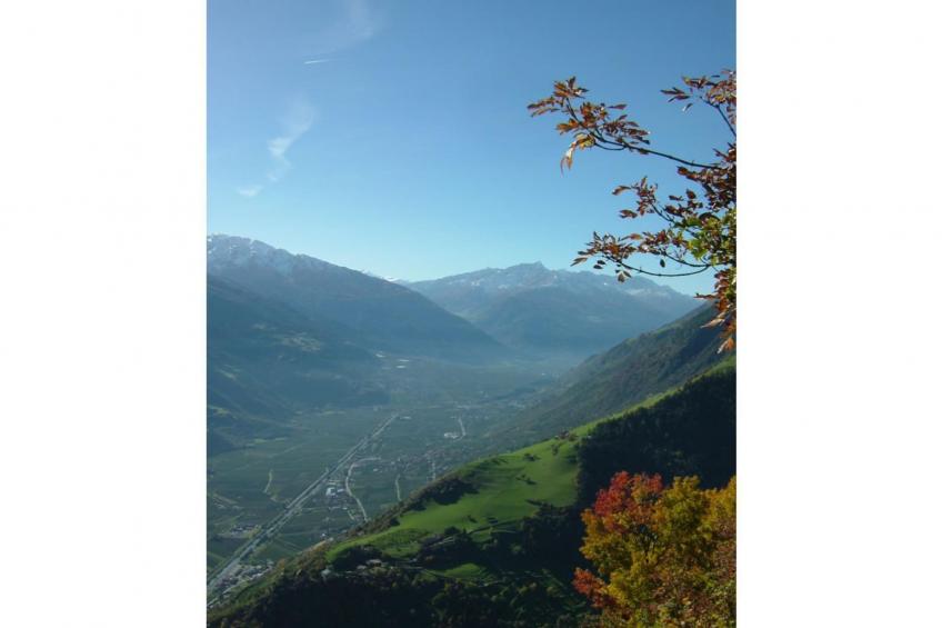47093 - foto 24