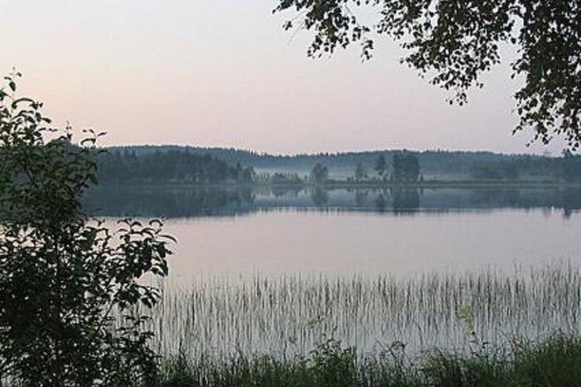 Villiruusu - foto 31