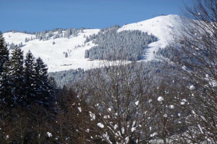 Chalet Sonnspitz - foto 35