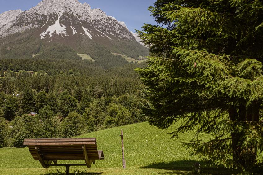 Studio Esche 2 - foto 51