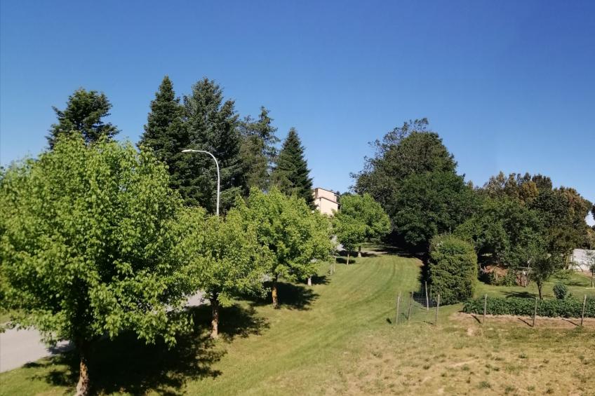 Natur, Komfort und Entspannung - foto 30