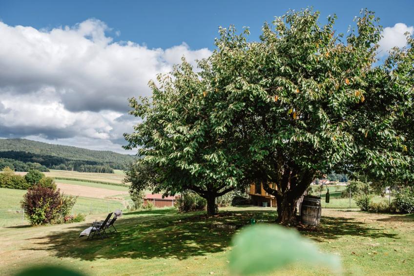 Urlaub in der Natur! - foto 18