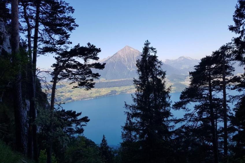 Chalet Lilo Studio - foto 26