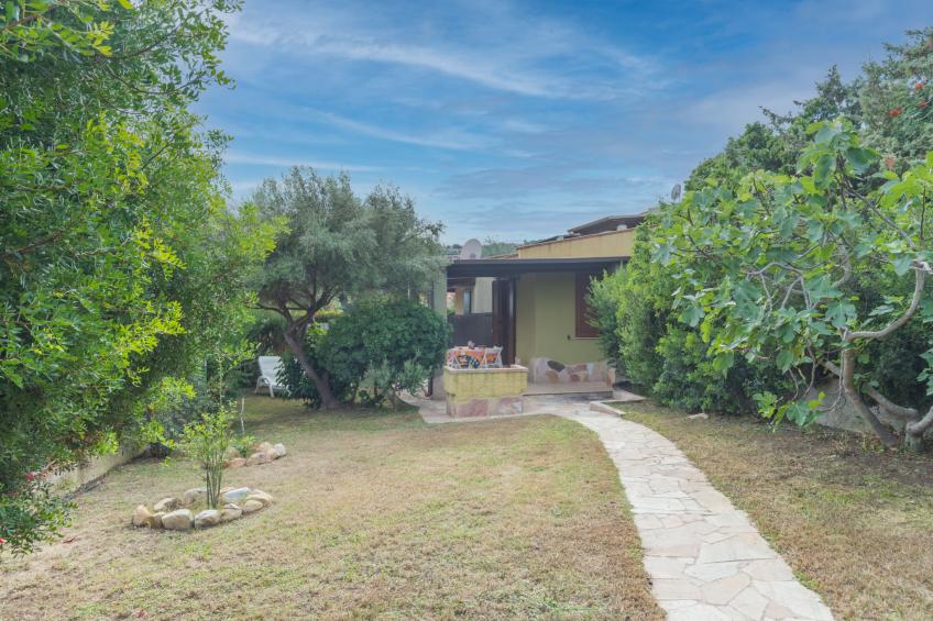 Valle degli Oleandri (REI185) - foto 6
