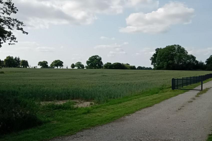 Hof Baethcke WE 2 - foto 10