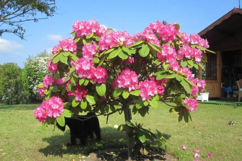 Landhaus am See - foto 33