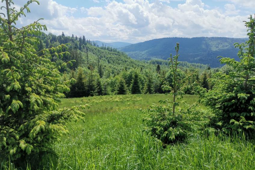 in den Bergen, Villa mit Panoramaterrasse - foto 35
