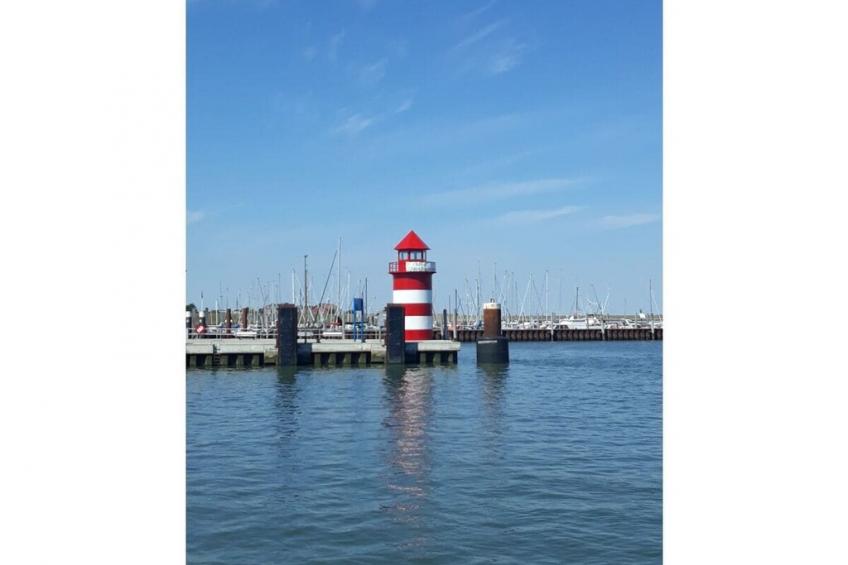 274605 - foto 38