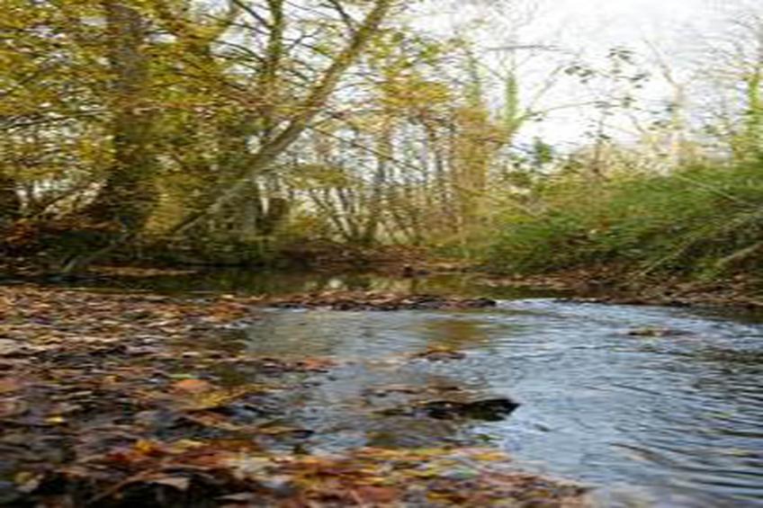 Stardust 40 Family Lodge - foto 21