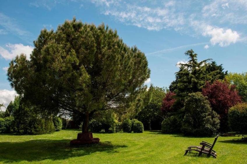 Villa Ravel - foto 31