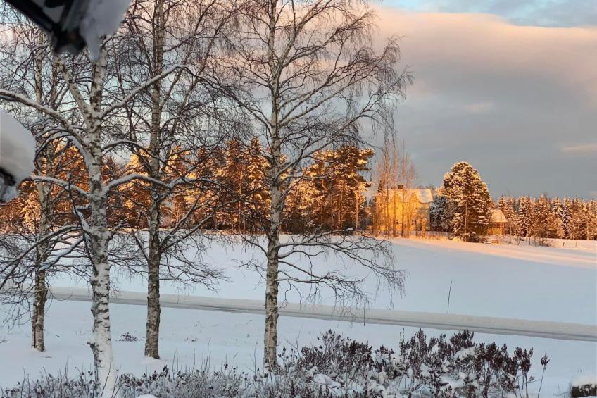 Schöne große "Villa Stolle" 9 Personen 2 Bäder - foto 28
