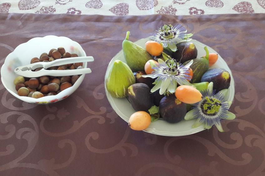 auf einem ummauerten Grundstück - foto 17