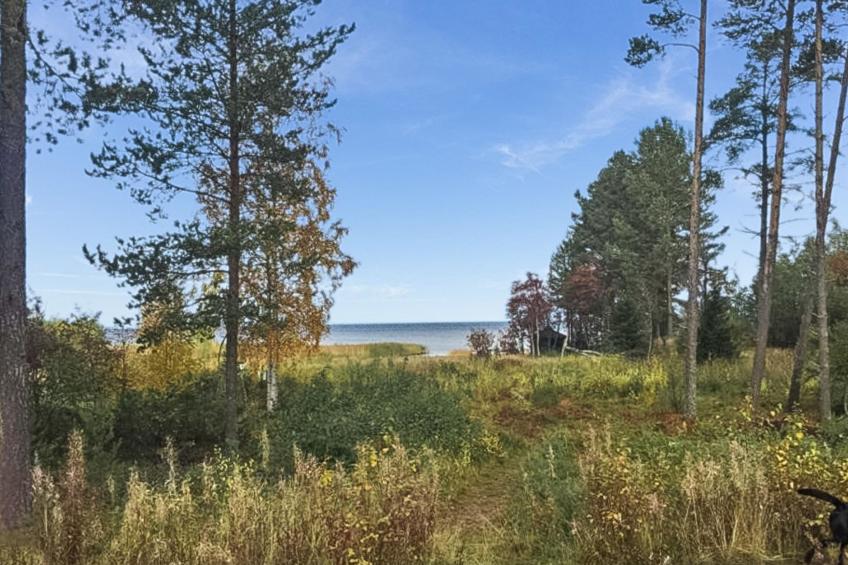 Merivanamo - foto 17