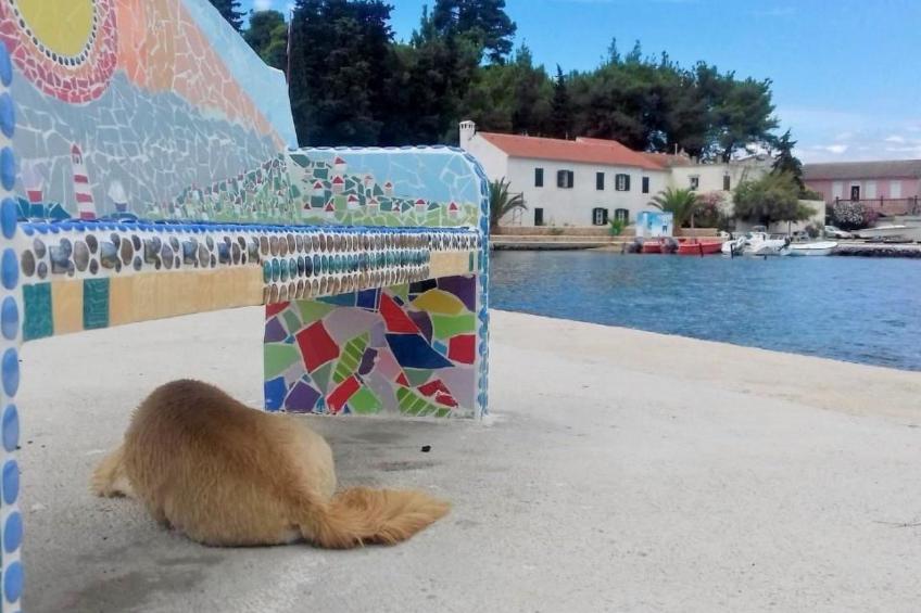Rustikales Haus in Lukoran mit privatem Parkplatz - foto 48