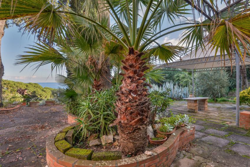 Capo d'Arco - foto 36