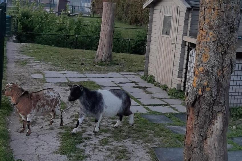 Haus Meeresbrise - foto 11