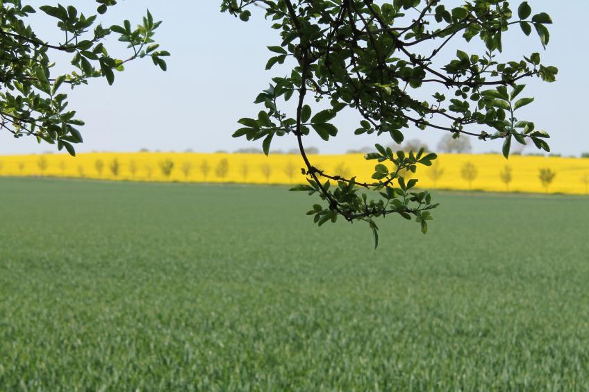 Bastorfer Weg - foto 19