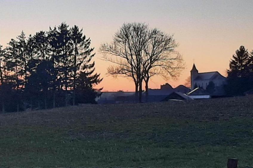 Sijs - foto 29
