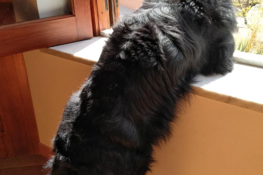 'Suite Zibibbo' mit Aussicht - foto 34