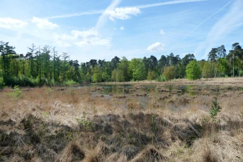 O'Hara Lodges - 4p - foto 17