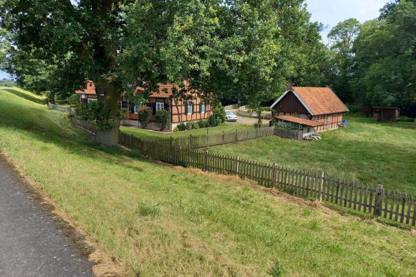 Haus Elbrose inmitten von Rosen mit Elbdeichzugang - foto 24