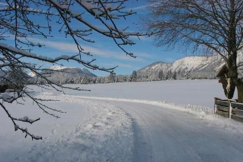 in Wildermieming - foto 21