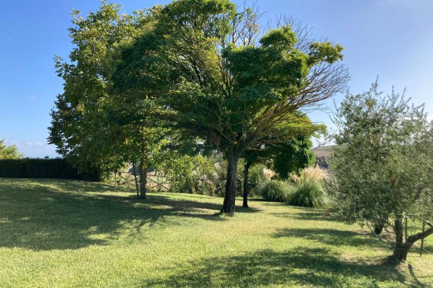 Agriturismo Podere il Moro - foto 10