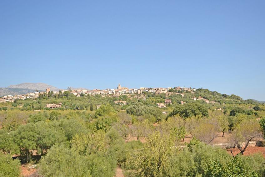 Molinot - foto 22