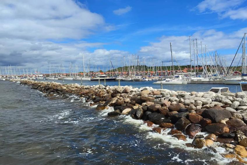 BF-JYKGF - foto 8