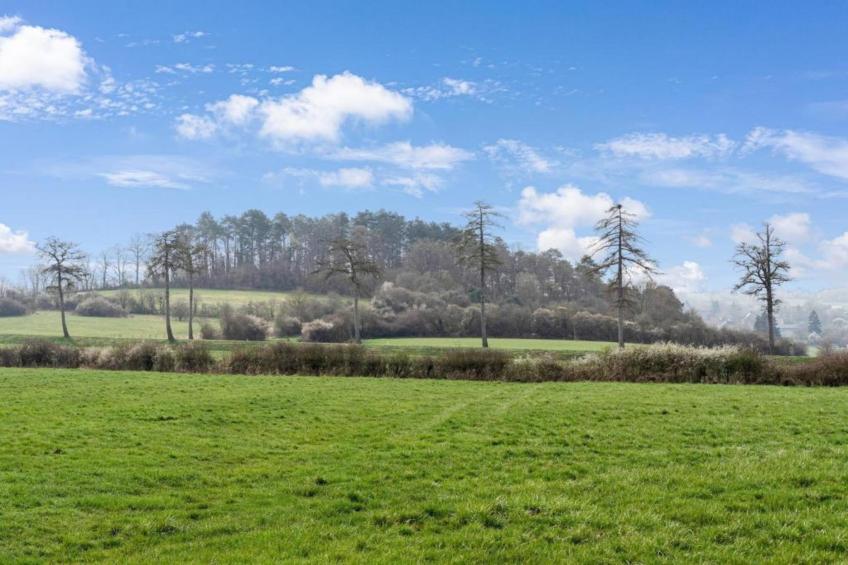 Au Pas Perdu - foto 26