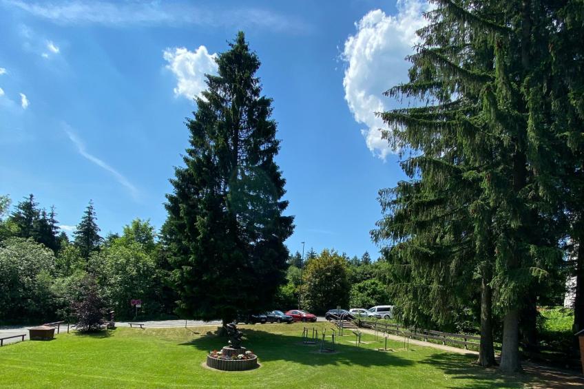 Feriendomizil Adler - foto 30