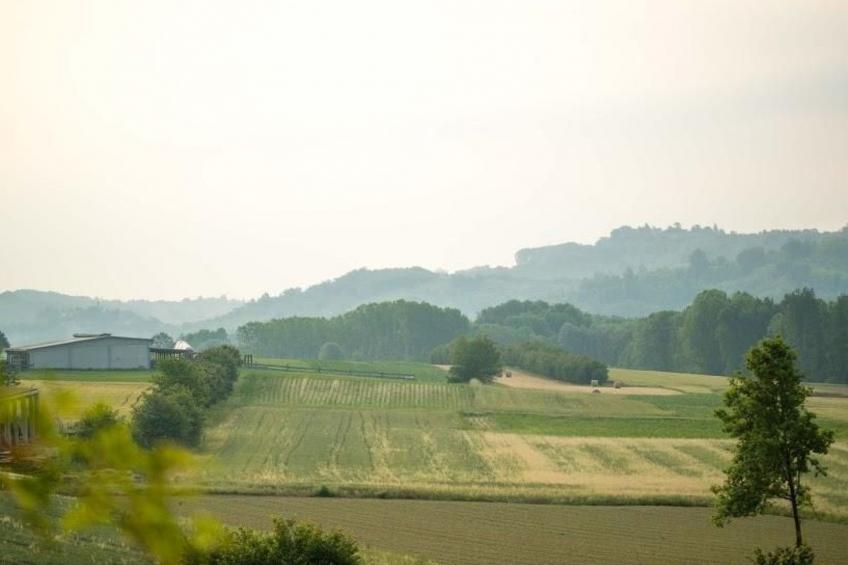 Villa Piemonte - foto 39