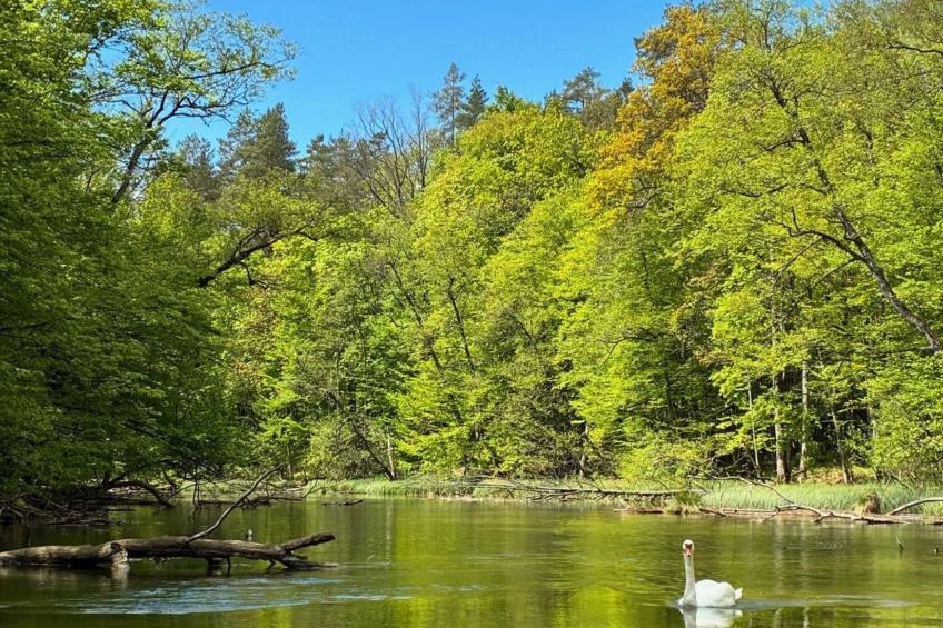 Zagroda nad Krutynią - foto 5