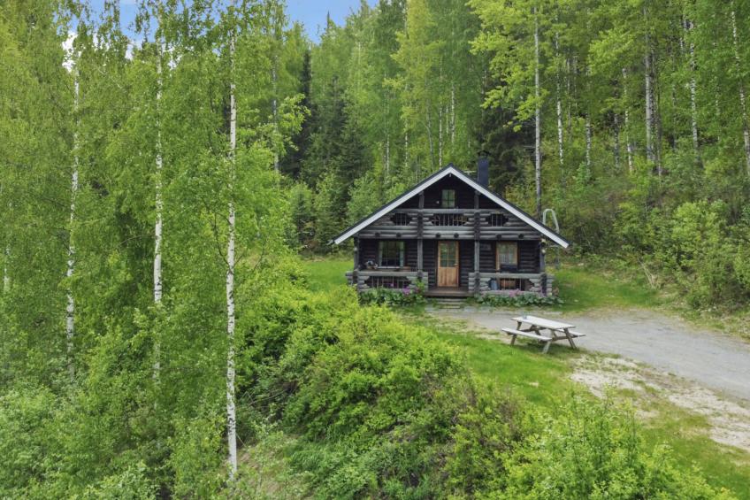 Heinäsorsa - foto 55