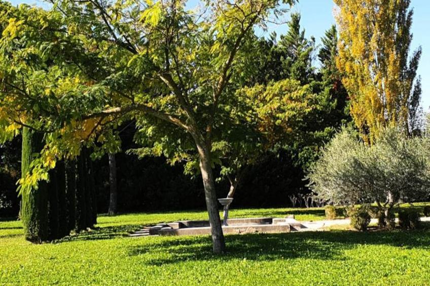 Le Mas De Jalique - Isle-sur-la-sorgue - foto 6