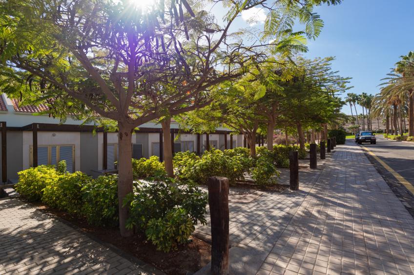 Blue Marlin 5 - foto 33