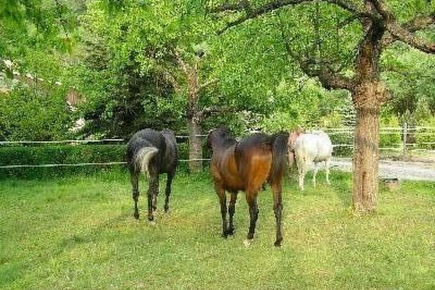 Silberbach I - foto 13