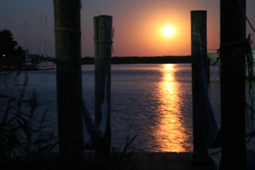 155 Joke am Deich - foto 47