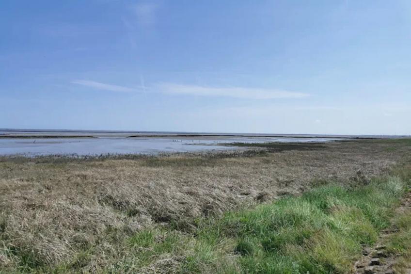 Bungalow Nordseebrise - foto 15