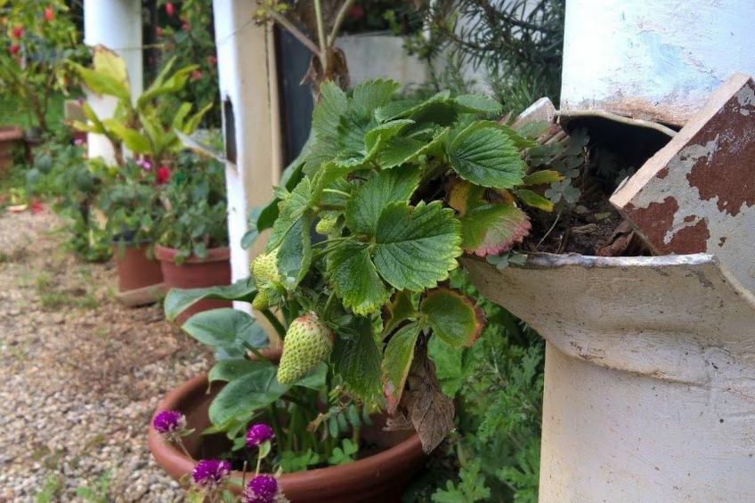 Zinovia Studio mit Balkon - foto 13