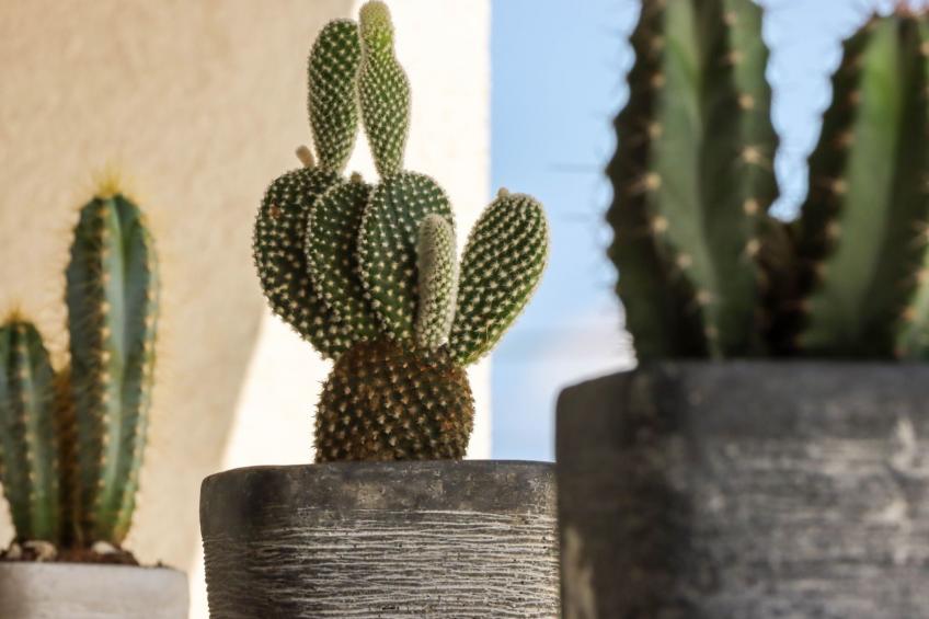 Villa Mi, Rukavac, Opatija Riviera - foto 40