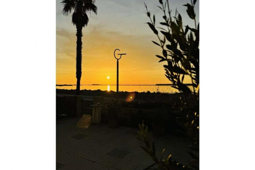 225302 - foto 8