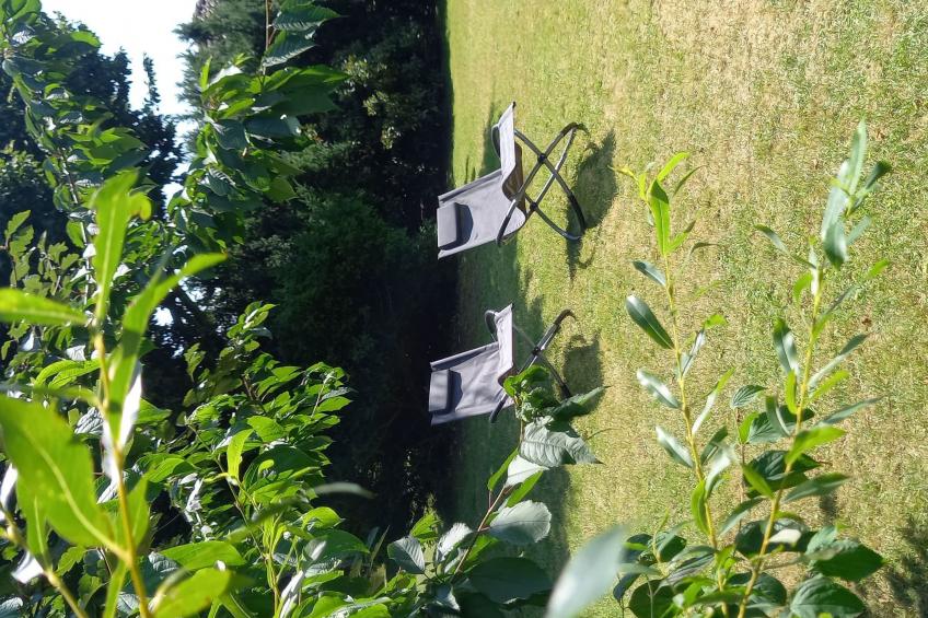 Deichhuus - ruhig am Feldrand in Sackgassenlage - foto 20