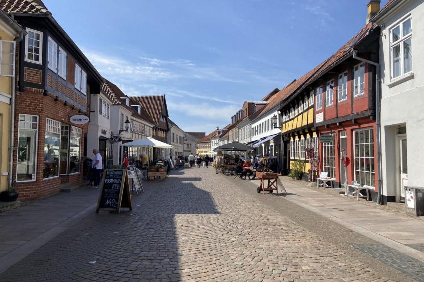 "Øthi" in Western Jutland - foto 35