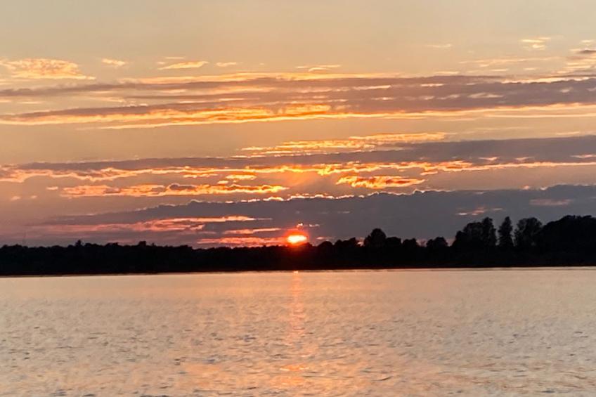 Blombacker - foto 49