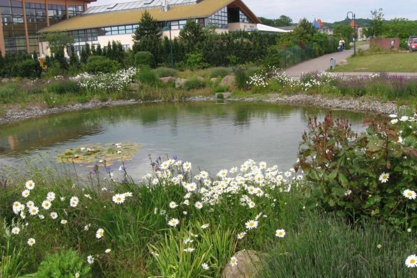 Ferienapartm.-ruegen - foto 18