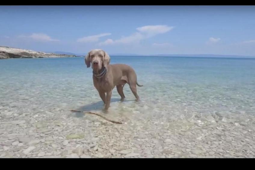 Wunderschöne Steinvilla mit privatem Garten und Terrasse - foto 26